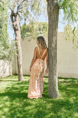Tula Maxi Dress - Crystal
