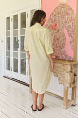 Lemon Harper Shirt Dress - Still Colour