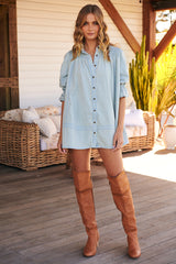 Vanessa Denim Tunic ~ Free People
