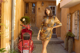 Nostalgic Affair Mini Dress