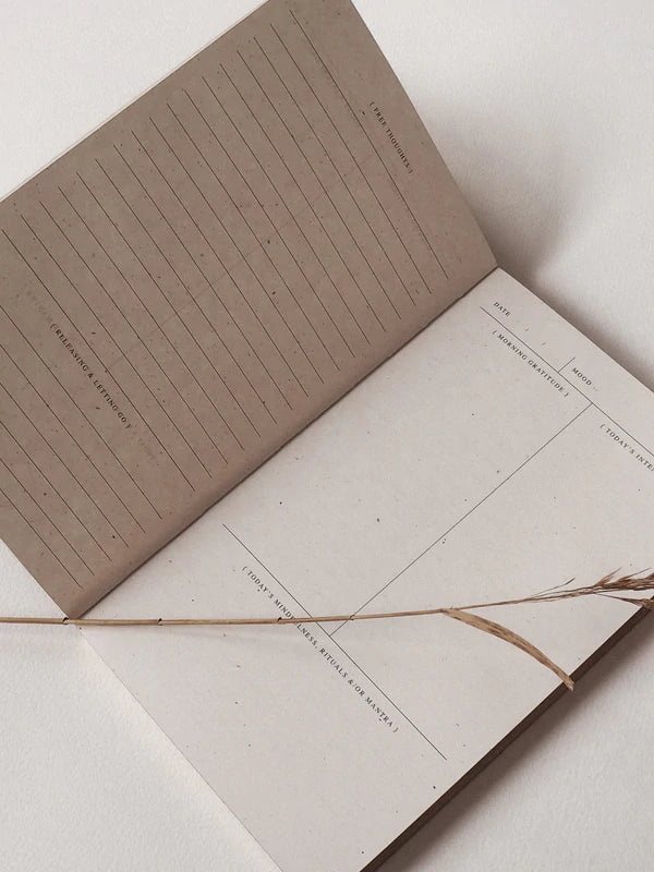 THE DAILY RITUAL JOURNAL • {ECO}